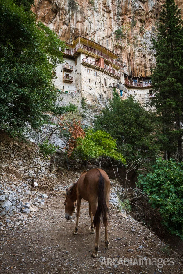 The Prodromou Monastery at Lousios gorge. Arcadia, Peloponnese