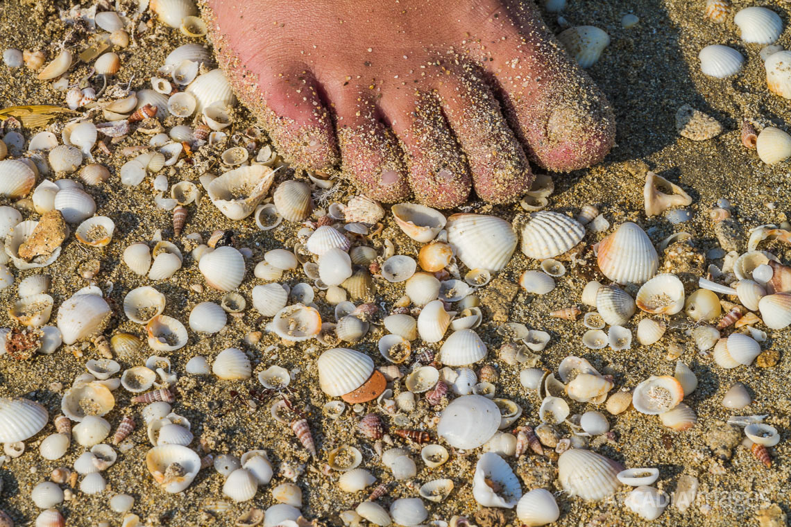 The marvelous Pounda beach is full of tiny shells. Neapolis, Laconia, Peloponnese