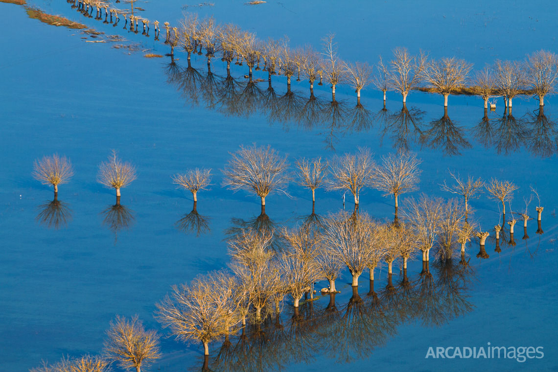 Flooded fields. Arcadia, Peloponesse, Greece