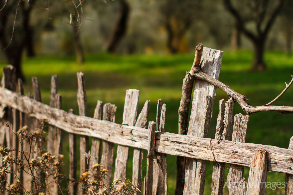 An old fence at Foloi (Pholoe) forest