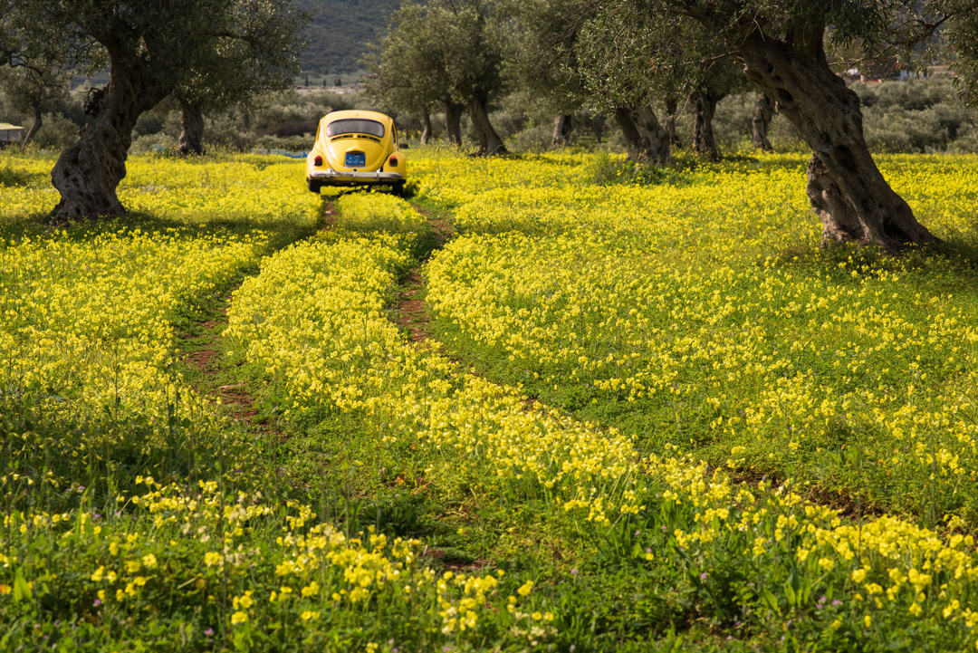 A yellow vintage beetle car in Arcadia Ⓒ Theodoros Papageorgiou, Arcadia Images